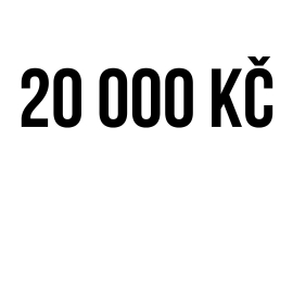 20 000 Kč
