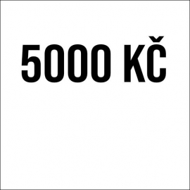 5 000 Kč