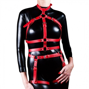 202401_HARNESS_LADY_FRONT.jpg